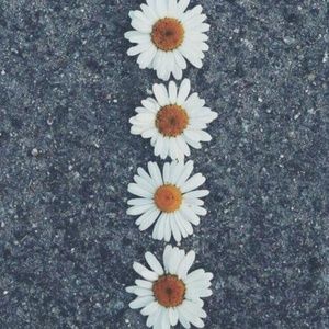 Meet your Posher, Adaline